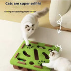 Interactive Cat Puzzle Maze Toy – Felt Box with Bell Ball for Indoor Cats